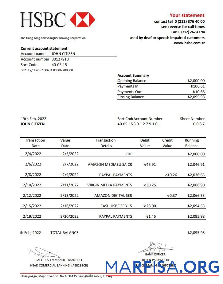 Realistic Turkey HSBC bank statement excel sample